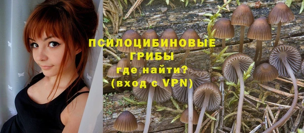 PSILOCYBIN Беломорск